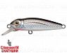 Black Back Silver (EG-074SP#A010-EP)