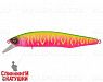 Watermelon Mat Tiger (EG-194A-SP#A230S)