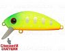 Lemon Mat Tiger (MG-002F#A178S)