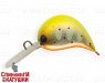 Mat Motley Trout (JS-310#A190ES)