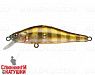 Broun Gill Transparent (EG-125D-SP#A68G)