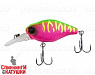 dragon fruit mat tiger