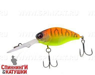 Tropical mat tiger