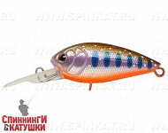 Arctic Char (EG-202F#A142-264)