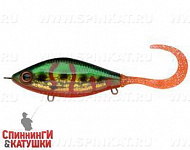 Psycho Spotted Bullhead (EG-208B#SB003)