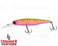 Dragon fruit mat tiger