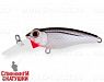 Black Back Silver (EG-073F#A010-EP)