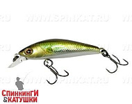 Hl Shad