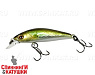 Hl Shad