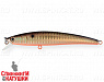 Black Back Smoked OB (JL-092-SP#613-713)