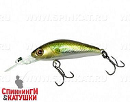 Hl Shad