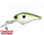 ss shad