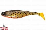 #040 Onega Burbot