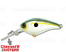 ss shad