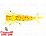 #004 Caramel Oil