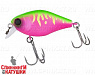Dragon fruit mat tiger