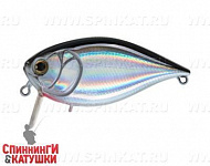 Black Back Silver (EG-185F#A010-EP)