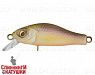 White Fry (EG-125E-SP#A262)