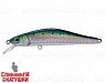 Pacific Sardine (EG-193A-SP#692-713-RP)