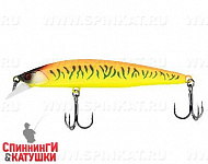 Tropical mat tiger
