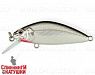 Black Back Silver (EG-162-SP#A010-EP)