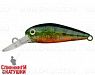 Transparent Perch (EG-197SP#A102G)