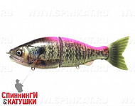 #RF14 GM Pink Gill