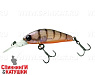Brown Suji Shrimp
