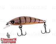 Brown Suji Shrimp