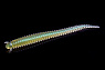 цв. 29