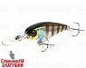 Hl bluegill