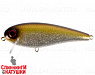 Tennessee Shad (EG-205B#JV014)