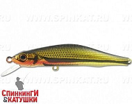 Golden Ugui (Tribolodon hakonensis) 403