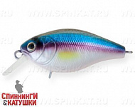 Rainbow Ghost Wakasagi (EG-165#A210-SBO-RP)