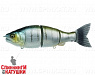 #07 Wild Perch