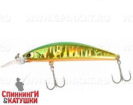 Green Gold Ayu