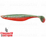 Carrot (SPT-17#009)