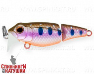 Arctic Char (EG-073J#A142-264)