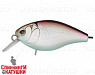Silver Smelt UV (EG-164F#A53-EP)