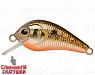 Black Back Smoked OB (EG-184-SP#613-713)