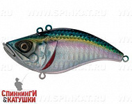 Pacific Sardine (EG-128D#692-713-RP)