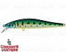 Venom Perch (EG-192C-SP#945V)