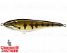 Mouth Bass (EG-078SP#C625F)