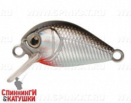 Black Back Silver (EG-182-SP#A010-EP)