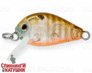 Broun Gill Transparent (EG-182-SP#A68G)