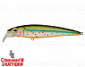 Silver Loach (EG-124B#964T)