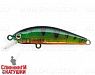 Transparent Perch (JS-392#A102G)