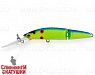 Zander Queen (EG-068J#A121F)