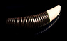 цв. 205