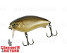 Noike Gold Bera